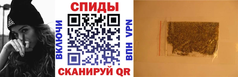 где найти   Колпашево  Бутират BDO 33% 