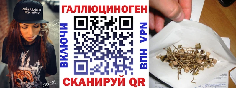 Псилоцибиновые грибы Magic Shrooms  хочу   Колпашево 